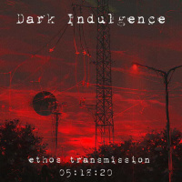 Dark Indulgence 05.17.20 Industrial | EBM | Synthpop Mixshow by Scott Durand : djscottdurand.com