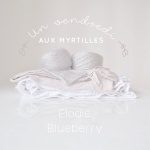 Un Vendredi Aux Myrtilles