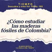 ¿Cómo estudiar las maderas fósiles de Colombia? - Videopodcast Revista Universidad EAFIT #DescubreyCrea 2025