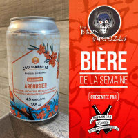 Salut Jules! - 13 avril 2023 - Argousier (Hydromel gazéifié)