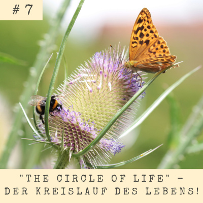 Natürlich Gut - Naturverbundenheit Spüren Und Leben