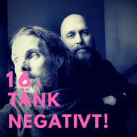 16. Tänk negativt