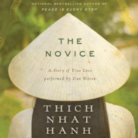 Novice: A Story of True Love Audiobook