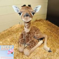 #482 “Relax everything Deep Sleep Whisper Hypnosis - Jason Newland (23rd January 2023)