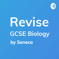 Human Nervous System: Eye Function