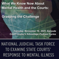 What We Know Now About Mental Health and the Courts: Grasping the Challenge