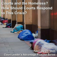Courts and the Homeless: How Should Courts Respond to This Crisis?