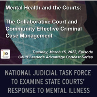 Mental Health and the Courts: The Collaborative Court and Community Effective Criminal Case Management