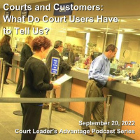 Courts and Customers: What Do Court Users Have to Tell Us?