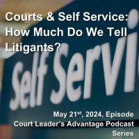 Courts and Self-Service: How Much Do We Tell Litigants?