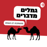 פרק 103: חוזרים לחייך