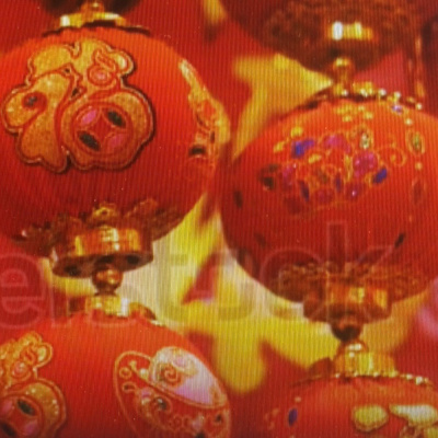 Paulmiddellijn - Mission Suriname