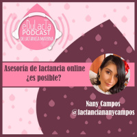 Asesoría de lactancia online ¿es posible? con Nany Campos @lactanciananycampos