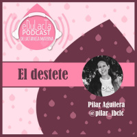 El destete con Pilar Aguilera @pilar_ibclc