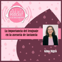 La importancia del lenguaje en la asesoría de lactancia. Entrevista a Gina Nigro