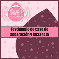 Episodio lactancia y separacion a proposito del caso de Laura