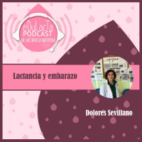 Lactancia y embarazo con Dolores Sevillano