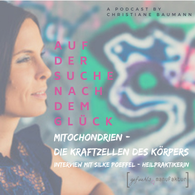 Die Gefuehlsmanufaktur - Auf Der Suche Nach Dem Glück