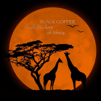 2020 Soulful Colors of Africa