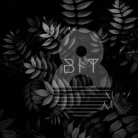 8BIT_8BIT-LIVE-Friends Party ( Private Party, Smolensk Ru )