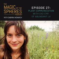 27. Plant Communication with Cici Cyr of Abundant LA