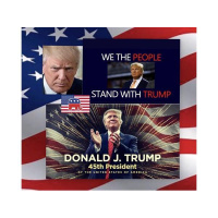 The Art of War: Trump 2020 Election