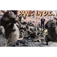 PANIC: Democrat RATS Scurrying!