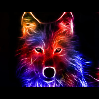 Heracanes Wolf Pack: Special Edition