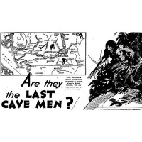 Big Foot  Other Cryptids