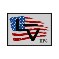 Ballots or Bullets: Is it time for the American Patriot to rise?