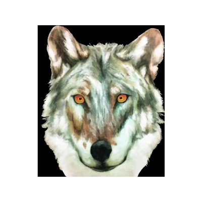 Wolf Paq Radio
