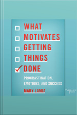 What Motivates Getting Things Done: Procrastination, Emotions, And Success