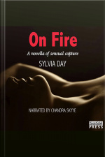 On Fire: Shadow Stalkers, Book Three