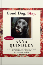 Good Dog. Stay.