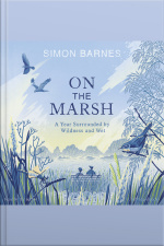 On The Marsh: A Year Surrounded By Wildness And Wet