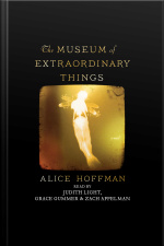 The Museum Of Extraordinary Things: A Novel