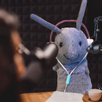 An Interview with Wallace the Book Bug