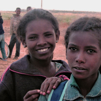 Le mie radici, testo Nicoletta Nicolai, voce Valeria Chiani