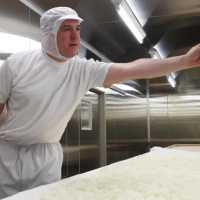 Episode 100: My Apprenticeship at a Japanese Sake Brewery