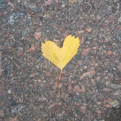 Kahvipöydässä