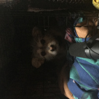 Episode 26 Day 12481 Dry 328