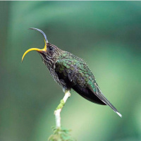 Episode 25 Day 12467 FEAT @SELENAWHATEVERZ OF @VANILLABEANERS