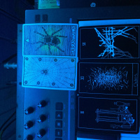 12374 (SEASON 2 PREMIER)