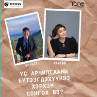 ҮС АРЧИЛГААНЫ БҮТЭЭГДЭХҮҮНЭЭ ХЭРХЭН СОНГОХ ВЭ?