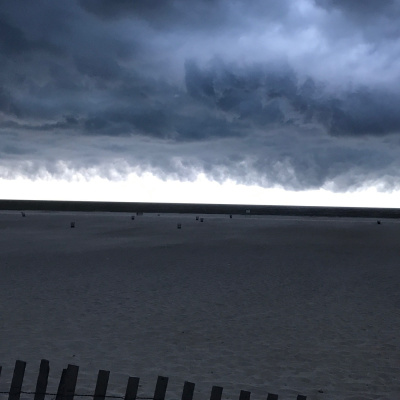 War  Peace Podnotes, A Study Guide