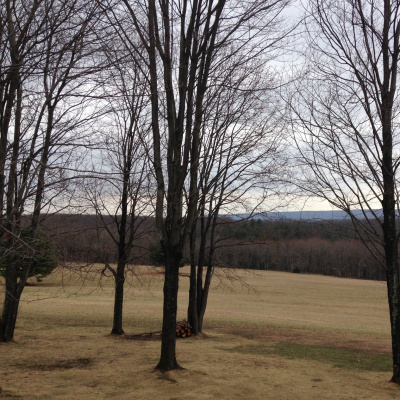 War  Peace Podnotes, A Study Guide