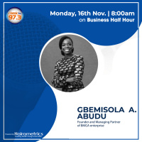 BMGA is more than a training platform for fresh graduates | Gbemi Abudu, Founder BMGA Enterprise | BHH