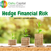 Protecting your Business Profits from Future Price Uncertainty