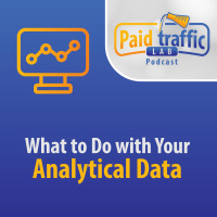 What to Do with Your Analytical Data