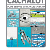 Sil te plait, dessine-moi un cachalot